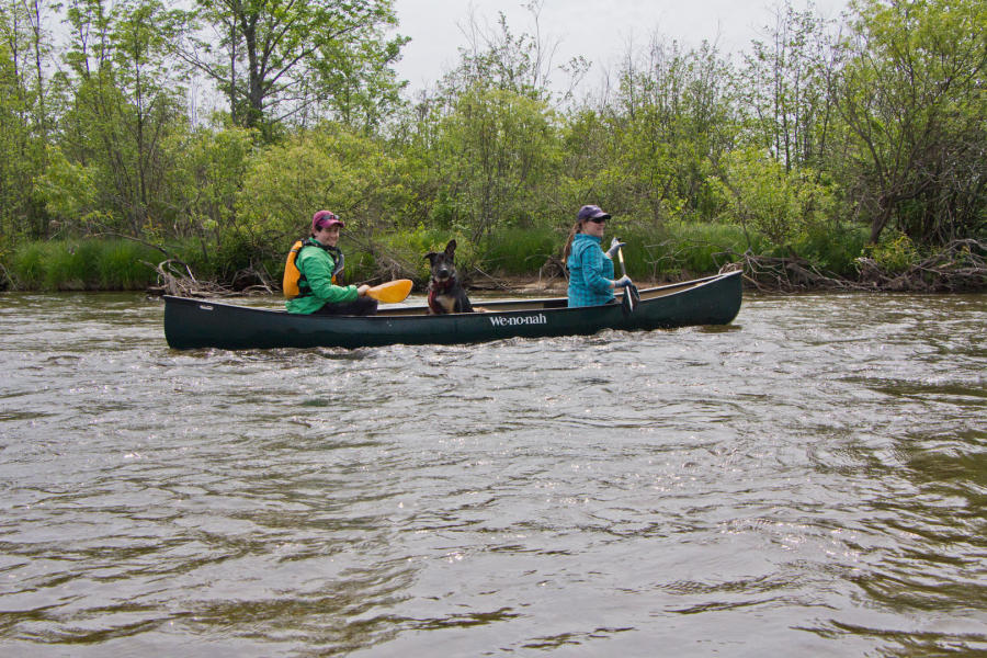 20140610_Boardman cleanup_2699